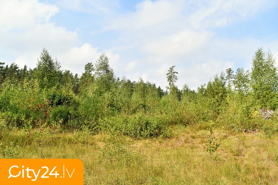 Kadaga, Ādažu pag., Ādažu nov.