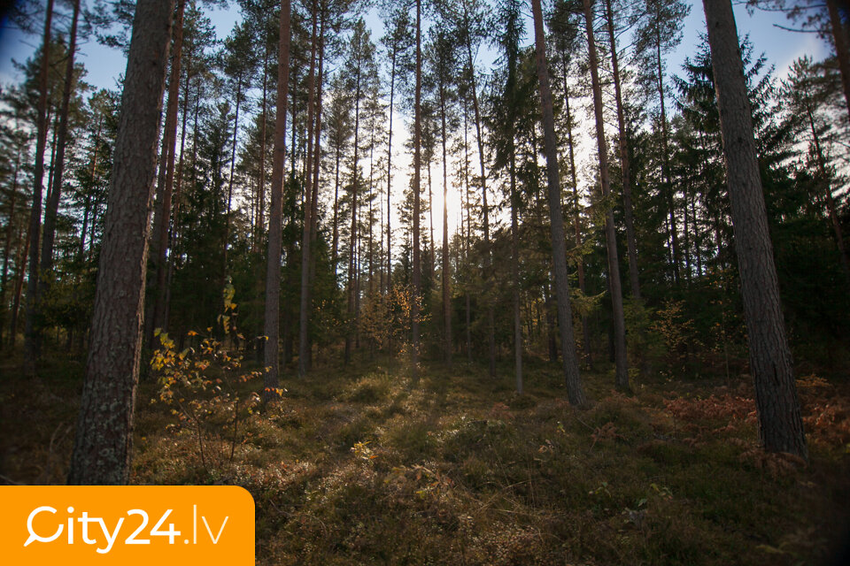 Līči, Saulkrastu pag., Saulkrastu nov.