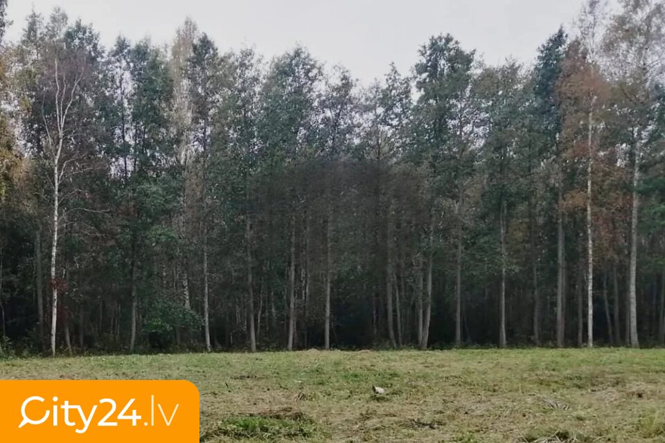 Stopiņu iela, Mērsrags, Mērsraga pag., Talsu nov.