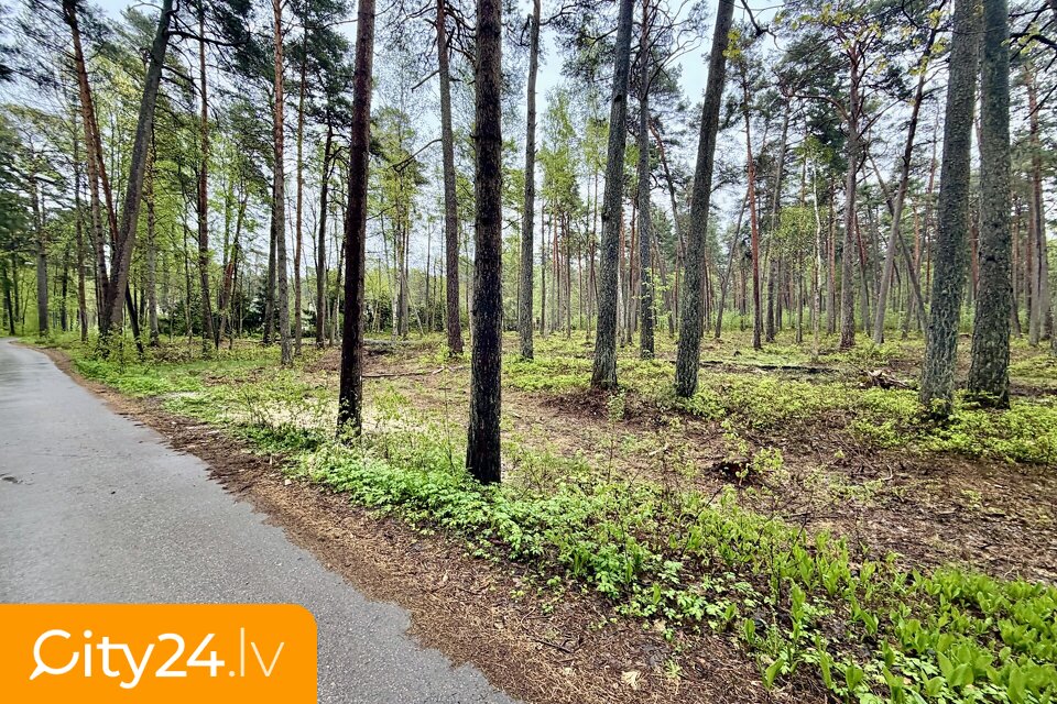 Pulkveža Brieža iela, Pumpuri, Jūrmala