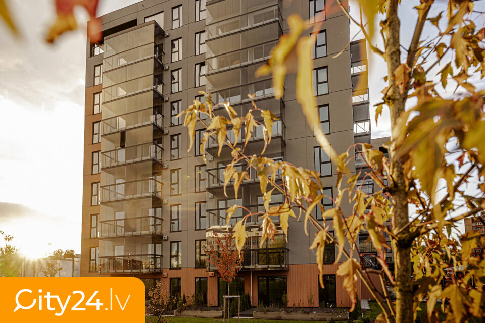 Mežezera iela, 8, -7, Mežaparks, Rīga