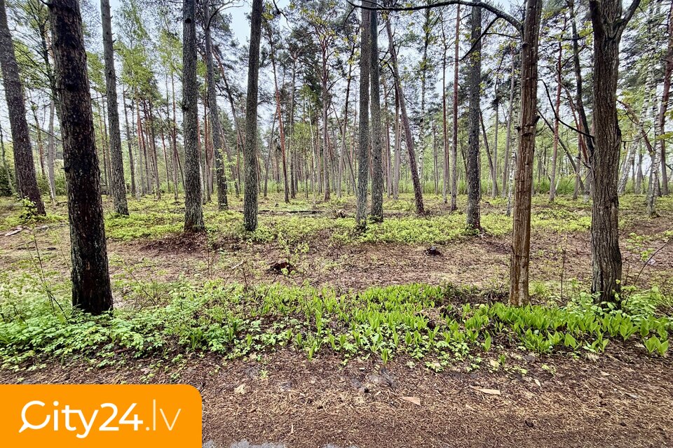 Pulkveža Brieža iela, 60, Pumpuri, Jūrmala